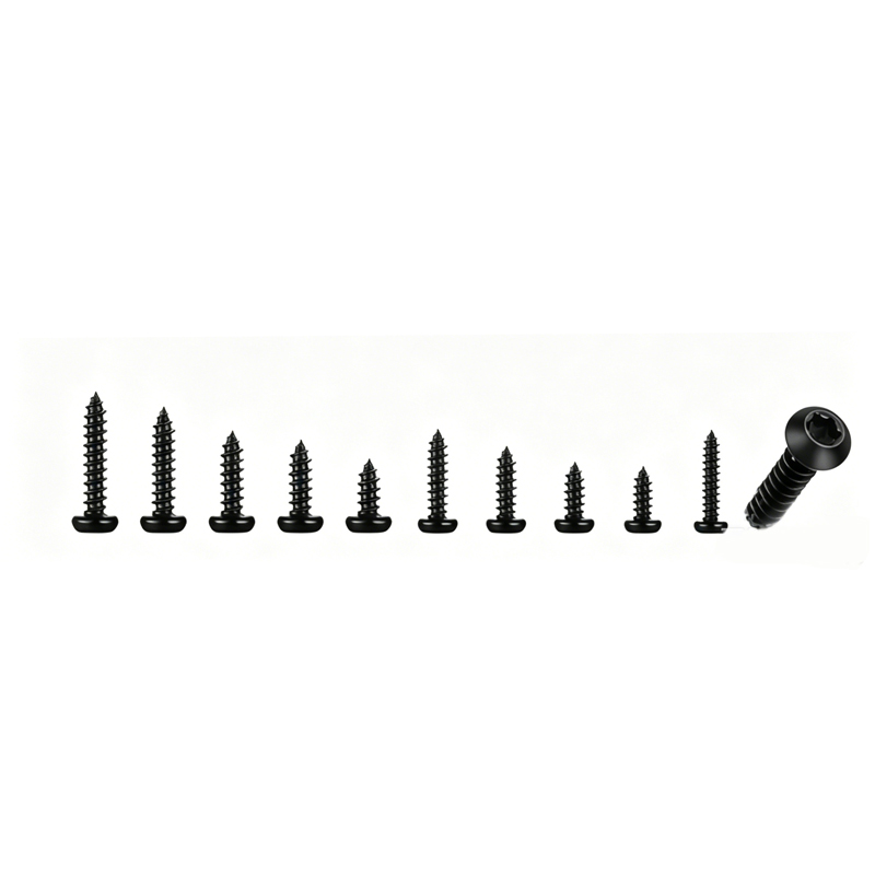 600 Pcs M2-M3 Black Torx Pan H - Furniture Hardware Fasteners 리뷰 및 가격